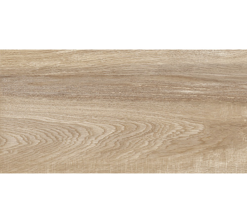 Плитка настенная Euphoria TWU2550EPH40 249x500x8 Матовая