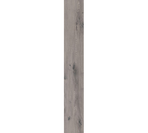 SPC FloorBee Project 0,5/43 4V (1220 х 182 х 4 мм) 1551 Дуб Фрайдис / Friday's oak (2,6645 кв.м.)