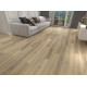 SPC Floorwood Joy 0,5/43 (1220 х182х3,5 мм) 9902 Carnival / Карнавал ( 2,665 кв. м.)