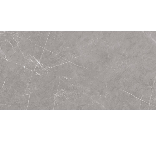 Pietra Grey Керамогранит серый 60х120 матовый карвинг