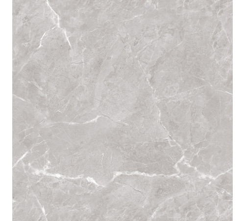 Mramor Chic Silver Керамогранит серый 60х60 Полированный