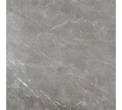 Patara Grigio Керамогранит I Серый 60x60 Матовый
