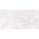 Fortezza Bianco PRO Керамогранит белый LP6012G0371R 59,5х119,1 глянцевые чернила R10 STR