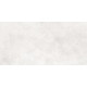Fortezza Bianco PRO Керамогранит белый LP6012G0371R 59,5х119,1 глянцевые чернила R10 STR