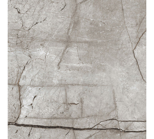 Obsidian Moss Gray Керамогранит 60х60 матовый