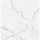 Torso Bianco Керамогранит 60х60 Полированный