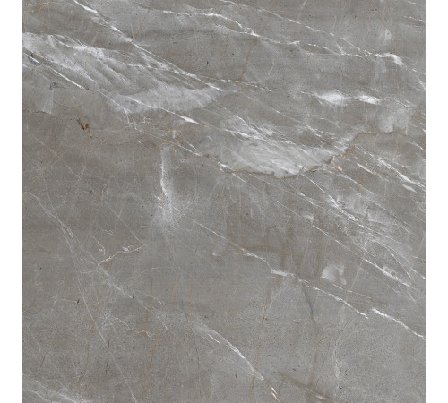 Patara Grigio Керамогранит I Серый 60x60 Полированный