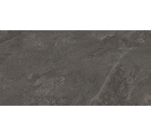 Портер Браун ПРО Керамогранит корич. LP6012G0161R 59,5х119,1 матовый структурный+гл.чернила R10/B КР