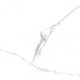 Pristine White Керамогранит белый 60x60 Матовый