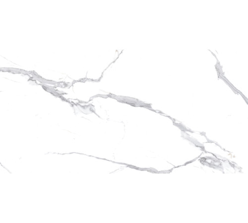 Calacatta Splendid Silver Керамогранит белый 60х120 Полированный