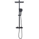 Душевая стойка Allen Brau Infinity 5.21030-31 черный матовый