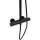 Душевая стойка Allen Brau Eclipse 3.0 5.E1A11-31 черный матовый