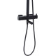 Душевая стойка Allen Brau Infinity 5.21029-31 черный матовый