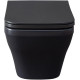 Чаша подвесного унитаза Allen Brau Infinity 4.21011.AN антрацит
