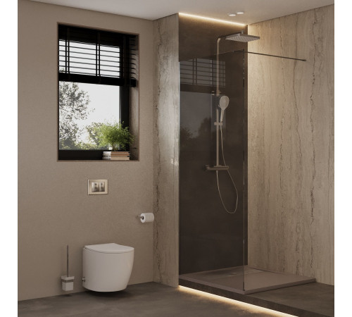 Душевая перегородка Allen Brau Infinity 1 120 3.21020.BA.T серебро браш