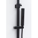 Душевая стойка Allen Brau Infinity 5.21031-31 черный матовый