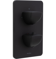 Смеситель для ванны Allen Brau Infinity 5.21216-31 (с внутренней частью, 2 выхода) черный матовый