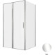 Душевой уголок Allen Brau Priority 120x80 3.31007.00 + 3.31013.00 хром
