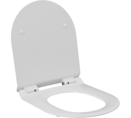 Чаша напольного унитаза Aquanet Rimless Roll-C CL-12249B