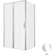 Душевой уголок Allen Brau Priority 120x90 3.31031.00 + 3.31043.00 хром