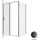 Душевой уголок Allen Brau Priority 120x100 3.31009.BBA + 3.31021.BBA черный браш