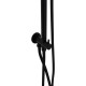 Душевая стойка Allen Brau Priority 5.31031-31 черный матовый