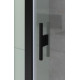 Душевой уголок Allen Brau Priority 120x90 3.31033.BBA + 3.31045.BBA черный браш
