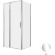 Душевой уголок Allen Brau Priority 100x80 3.31028.00 + 3.31040.00 хром