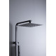 Душевая стойка Allen Brau Infinity 5.21029-31 черный матовый