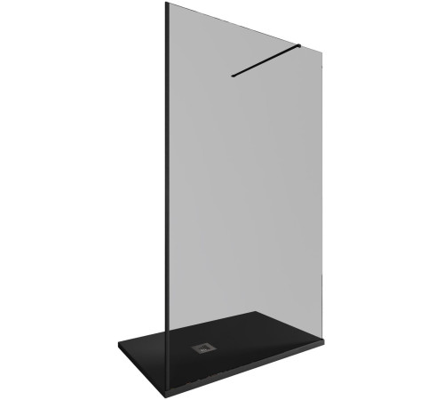 Душевая перегородка Allen Brau Infinity 1 120 3.21022.BBA.T черный браш