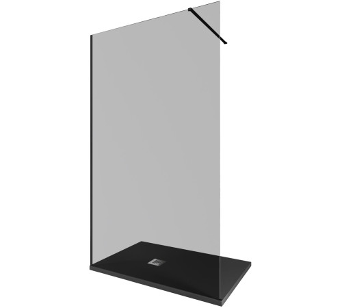Душевая перегородка Allen Brau Infinity 1 120 3.21022.BBA.T черный браш