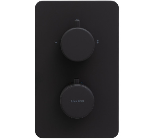 Смеситель для ванны Allen Brau Priority 5.31213-31 (с внутренней частью, 2 выхода) черный матовый