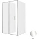 Душевой уголок Allen Brau Priority 120x100 3.31007.00 + 3.31019.00 хром