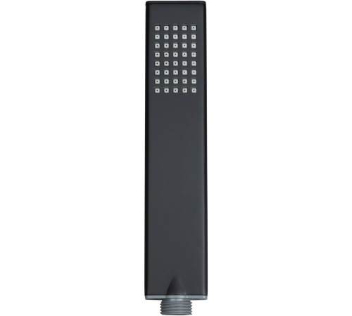 Душевая лейка Allen Brau Infinity 5.21022-31 черный матовый