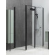 Душевой уголок Allen Brau Priority 120x90 3.31033.BBA + 3.31045.BBA черный браш