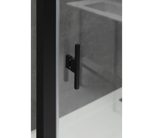 Душевой уголок Allen Brau Priority 100x90 3.31030.BBA + 3.31045.BBA черный браш