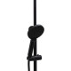 Душевая стойка Allen Brau Eclipse 5.E1007-31 черный матовый