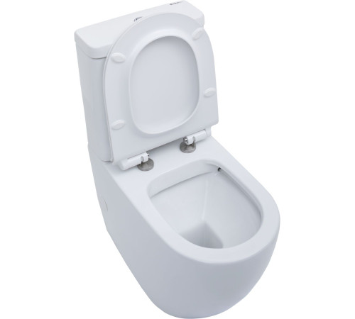 Чаша напольного унитаза Aquanet Rimless Cetus-C1 BL-102N-TPT