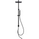 Душевая стойка Allen Brau Infinity 5.21031-31 черный матовый