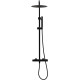 Душевая стойка Allen Brau Liberty 5.33007-31 черный матовый
