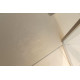 Душевая дверь Allen Brau Priority 120 3.31008.BA серебро браш