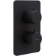 Смеситель для душа Allen Brau Priority 5.31113-31 (с внутренней частью, 1 выход) черный матовый