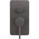 Смеситель для ванны Allen Brau Priority 5.31011-MG (с внутренней частью, 2 выхода) графит браш