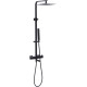 Душевая стойка Allen Brau Infinity 5.21029-31 черный матовый