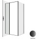 Душевой уголок Allen Brau Priority 100x80 3.31030.BBA + 3.31042.BBA черный браш