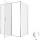 Душевой уголок Allen Brau Priority 160x100 3.31037.00 + 3.31046.00 хром