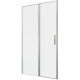 Душевая дверь Allen Brau Priority 120 3.31008.BA серебро браш