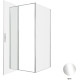 Душевой уголок Allen Brau Priority 100x100 3.31028.00 + 3.31046.00 хром