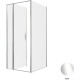 Душевой уголок Allen Brau Priority 90x100 3.31025.00 + 3.31046.00 хром