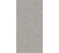 Керамогранит Чеппо ди Гре DD507820R Серый матовый 60х119.5